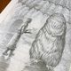 Thumbnail-8