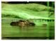 Thumbnail-9