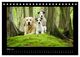 Thumbnail-8