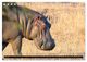 Thumbnail-12