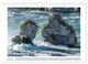 Thumbnail-11