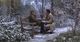 Thumbnail-11