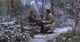 Thumbnail-11