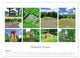 Thumbnail-12