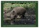 Thumbnail-10