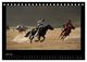 Thumbnail-11