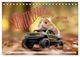 Thumbnail-8