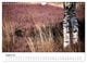 Thumbnail-13
