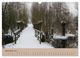 Thumbnail-14