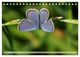 Thumbnail-12