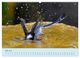 Thumbnail-12