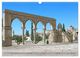 Thumbnail-10