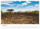 Thumbnail-10