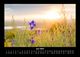 Thumbnail-10
