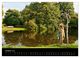 Thumbnail-11