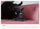 Thumbnail-9
