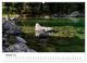 Thumbnail-12