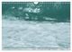 Thumbnail-13