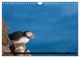 Thumbnail-14