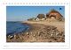 Thumbnail-13