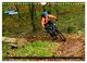 Thumbnail-13