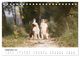 Thumbnail-11
