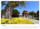 Thumbnail-8