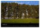 Thumbnail-13