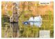 Thumbnail-14