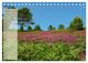 Thumbnail-10