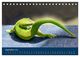 Thumbnail-11