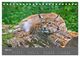 Thumbnail-10