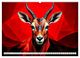 Thumbnail-14