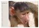 Thumbnail-14