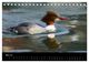 Thumbnail-10