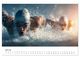 Thumbnail-9