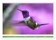Thumbnail-12