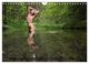 Thumbnail-12