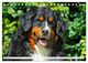 Thumbnail-14