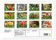 Thumbnail-12