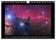 Thumbnail-13