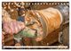 Thumbnail-12