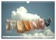 Thumbnail-10