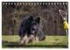 Thumbnail-10