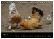 Thumbnail-9