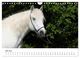 Thumbnail-11