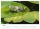 Thumbnail-12