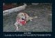 Thumbnail-10