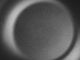 Thumbnail-11
