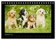 Thumbnail-11
